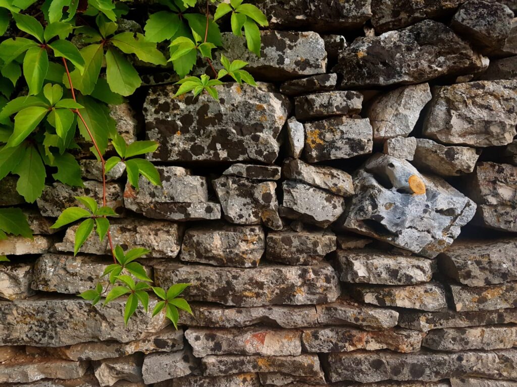 Drystone Walling: A Typically Dalmatian Tradition